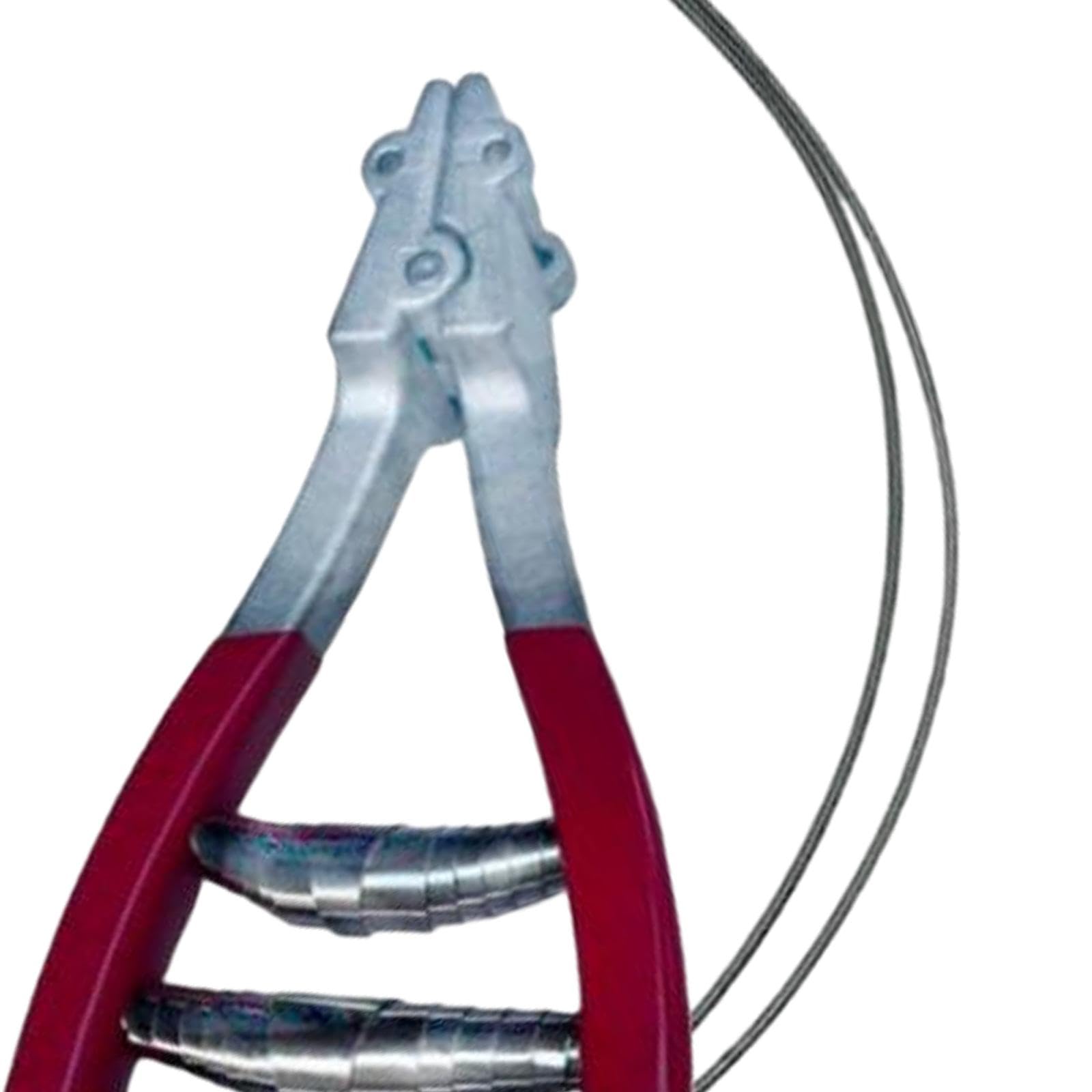 Amazon | QSTDGVPW スポーツスタータークランプ締め付けツール 1