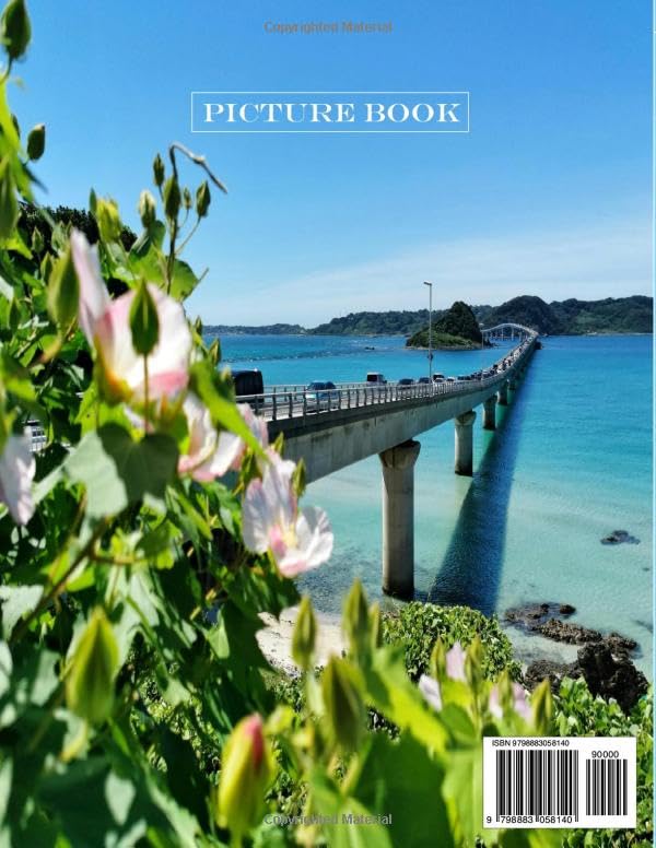 OKINAWA JAPAN: A vibrant Tour to OKINAWA JAPAN Photography Coffee Table Book Tourists Attractions. - Image 2