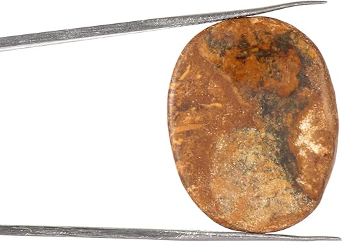 Miniatura 2 de GEMHUB 25.8 CT. Piedra preciosa suelta de cabuján ovalada de jaspe mokaita natural marrón amarillo para masaje spa piedra energética