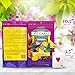 LAFEBER'S Fruit Delight Avi-Cakes Pet Bird Food, Made with Non-GMO and Human-Grade Ingredients, for Parrots (8 oz Pack of 1)