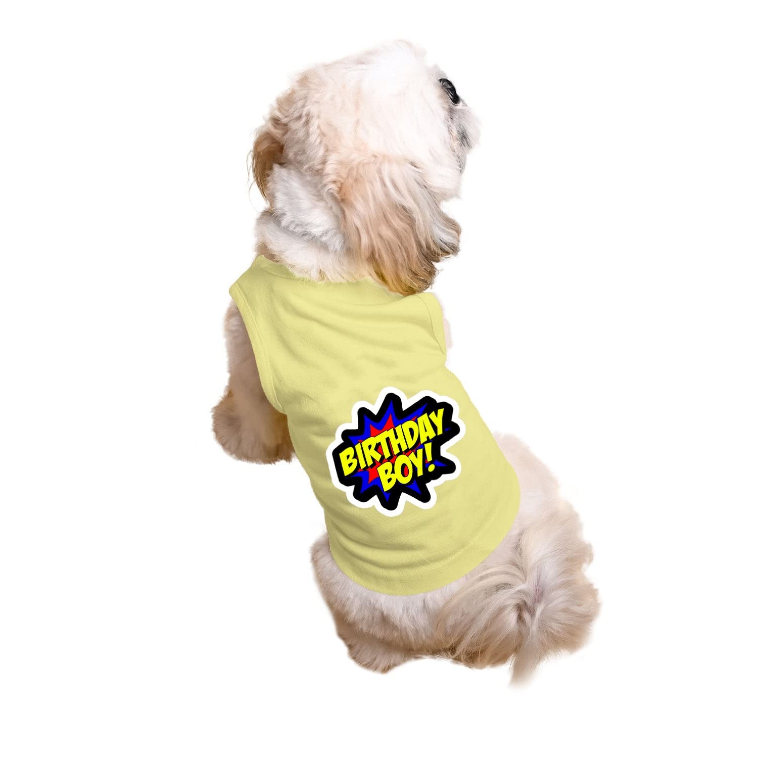 Ruse Pet Birthday Boy Printed Dog Round Neck Sleeveless Vest Tank T-Shirt/Tees Apparel/Clothes/Tees Gift for Dogs(Lemon Yellow/M (Chubby Pugs, Beagle etc.) (B0BW646KKG) Amazon Price History, Amazon Price Tracker