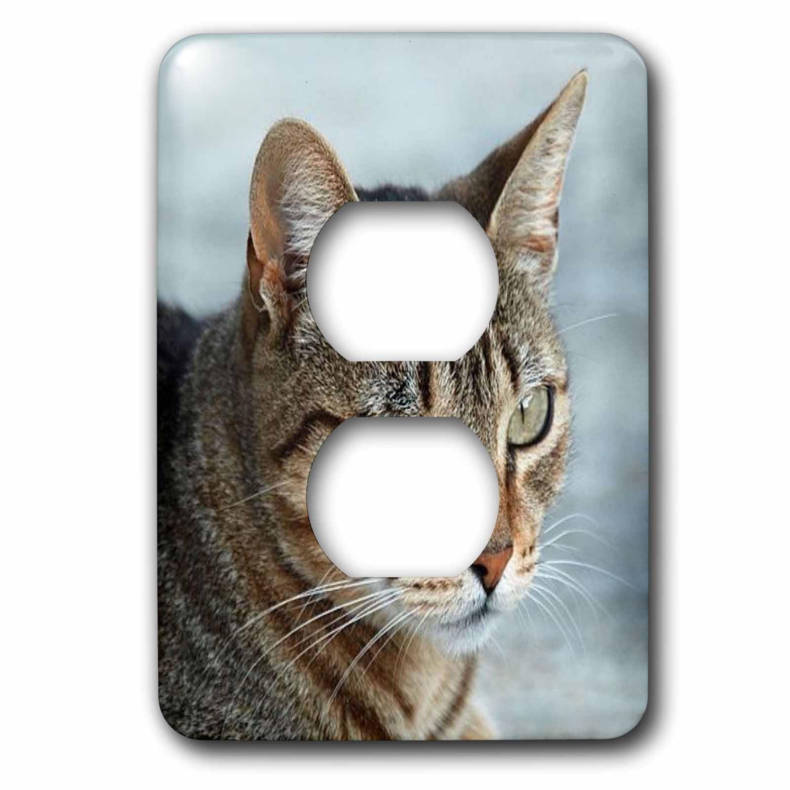 Tabby Cat Portrait 3dRose - Plaque pour 2 prises électriques murales