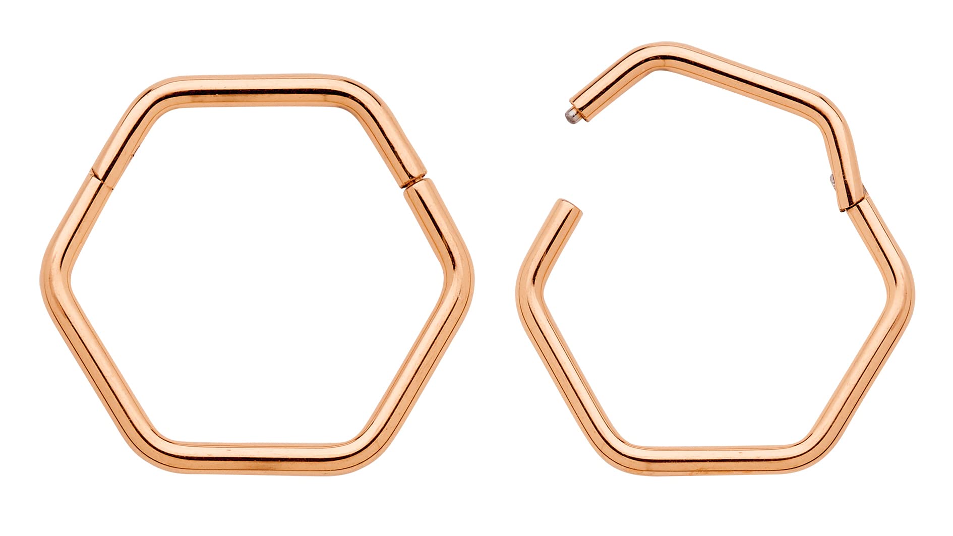 365 Sleepers G23 Anillo de segmento con bisagras hexagonales unisex de titanio Helix Tragus Septum Clicker Nariz Aro Labio Pendiente Piercing corporal Joyería