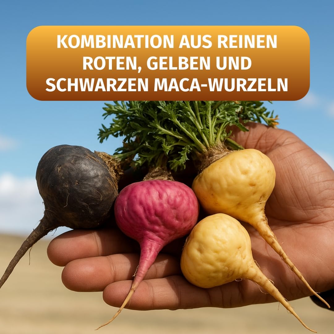 Green Naturals Maca 3-in-1-Komplex – Hochdosiert: 2.800 mg Extrakt | Schwarz-Rot-Gold · 40:1 pro Tagesdosis · Entspricht 112.000 mg Maca-Pulver · 240 Kapseln · 2-Monatsvorrat