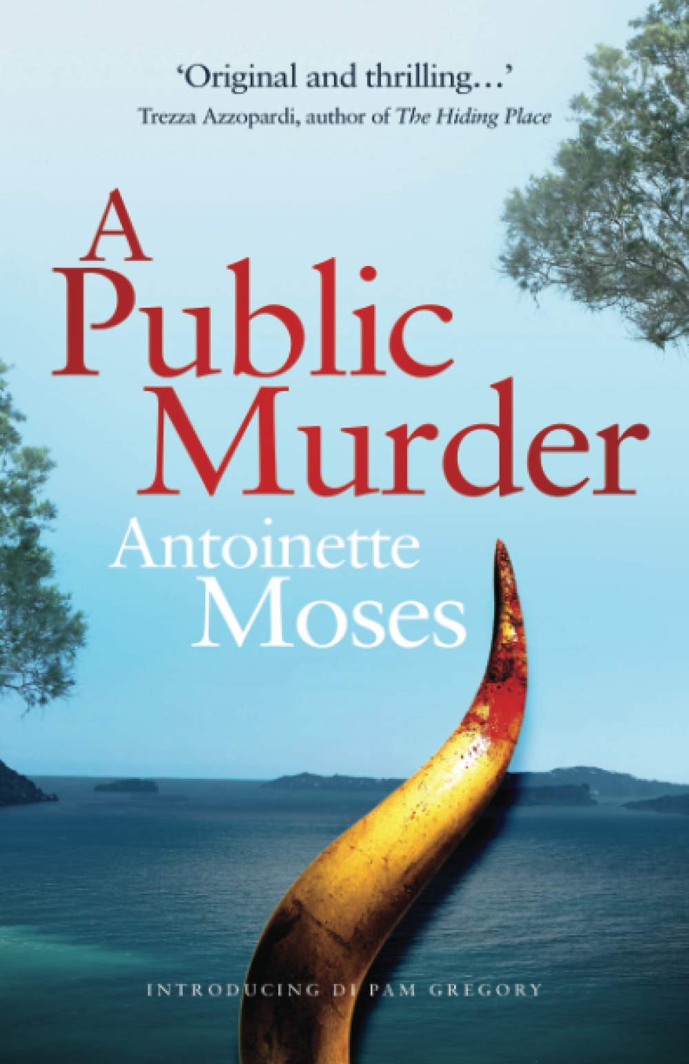 A Public Murder: Introducing DI Pam Gregory by Antoinette Moses (Paperback,...