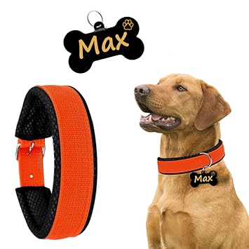 Kraftidy Dog Collar Belt with Name tag id Customized for Small Medium Large Dogs Neck Collar with Personalized Dog Name (Orange) (with Dog Name) (Large Dogs)