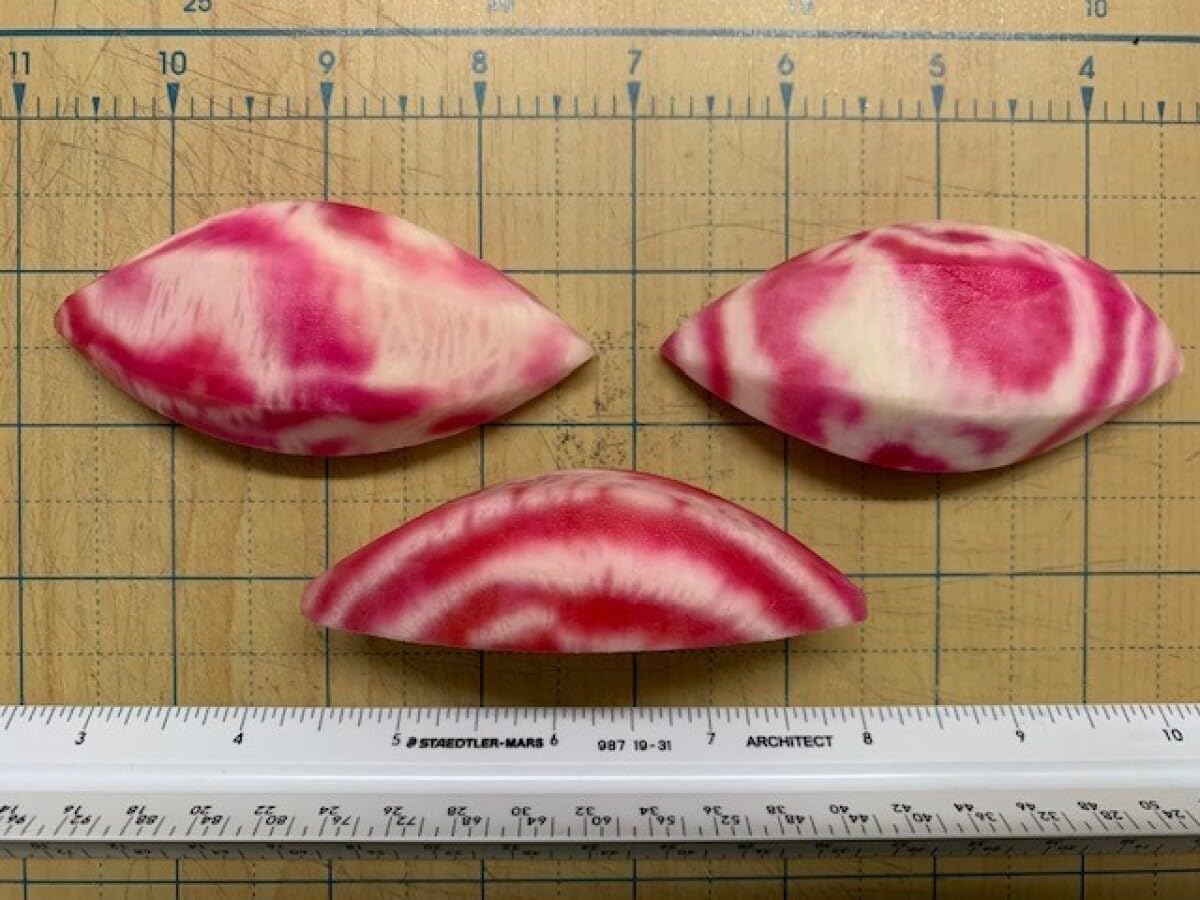 Hand-Turned 5 Sided Candy Beets (1 Oz) 80 Pieces, 5 Lb Case - Artisanal, Vibrant, and Sweet, Perfect for Gourmet Dishes & Professional Kitchens