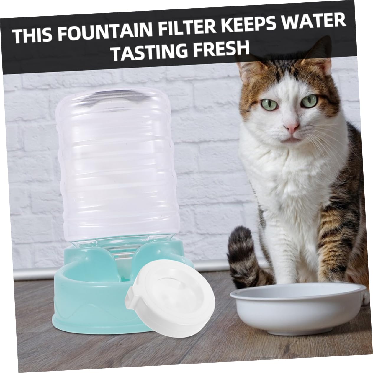 WOONEKY 8stücke Katzenbrunnen Filter Für Automatische Wasserspender Kompatibel Mit Langsam Installieren Effiziente Wasserfiltration Für Haustiere Material Stark Und Stabil