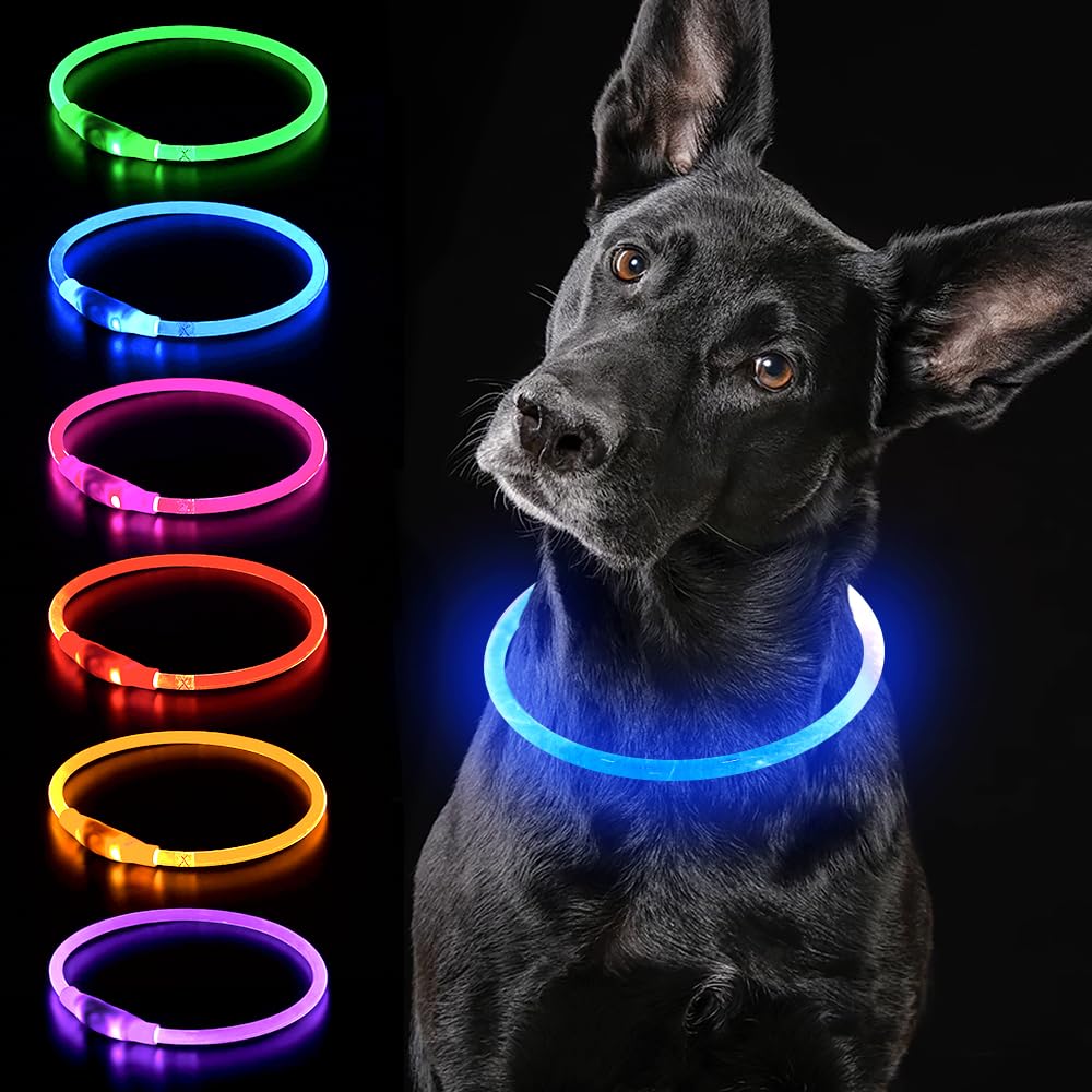 iTayga Collare Luminoso per Cani Ricaricabile Collare LED Cane Luminoso Adapitil Collari con Luce per Cani Taglia Grande,Media,Piccola. Rendi il tuo amico peloso ben visibile al buio (Blu)