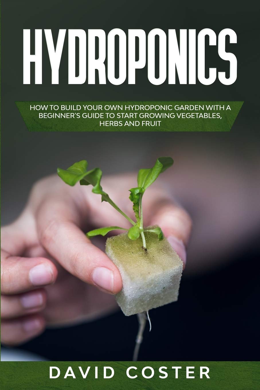 Buy Hydroponics How to Build Your Own Hydroponic Garden with a