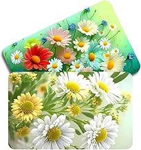 2PCS Bathroom mats Anti Slip Water Absorbent Rectangular Mats for Bathroom Kitchen Door Mat Anti Slip Skid Bath Mat 58X38Cm (Combo 8)