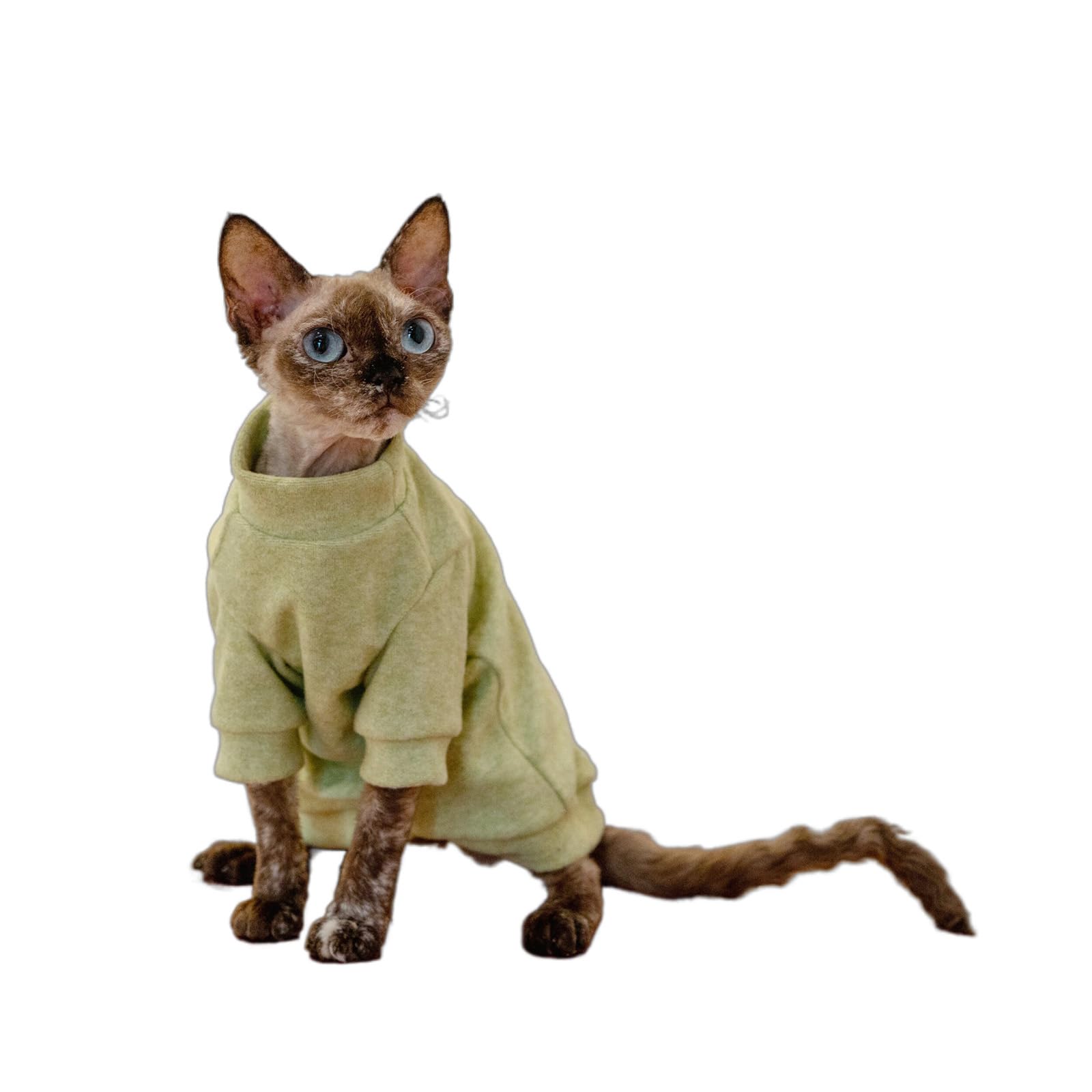 OMEM Solid Color Cat T Shirt for Sphynx Devon Rex, 4 Colors Beige Cream Pink Light Green, Mock Neck Basic Tee for Hairless Cats, Breathable Summer Top XS to XXXL (Green,S+)
