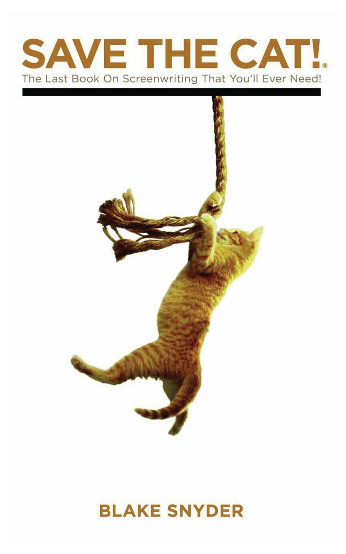 Buy Save the Cat!: The Last Book on Screenwriting You'll Ever Need — BookShops.in