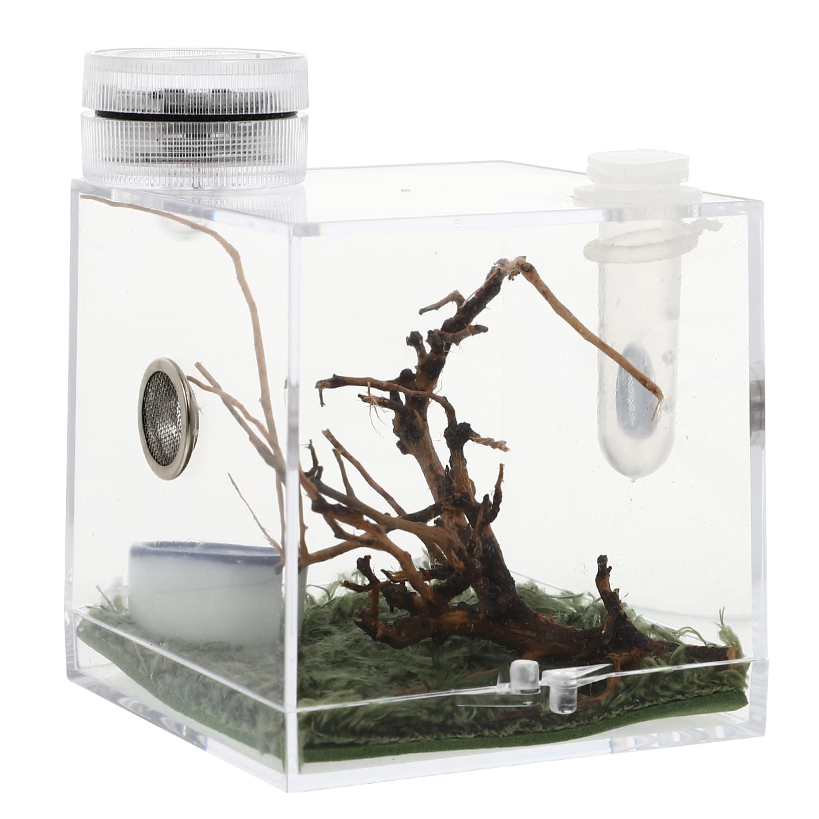 Buy Reptile Terrarium, Transparent Tarantula Enclosure Tank Snail