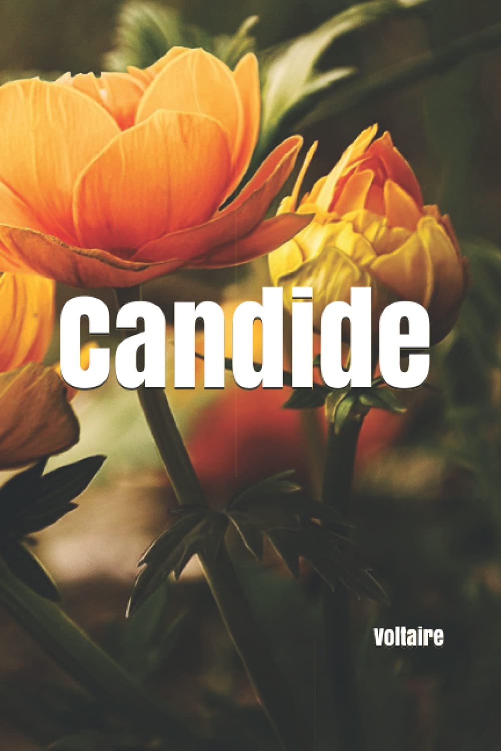 Candide