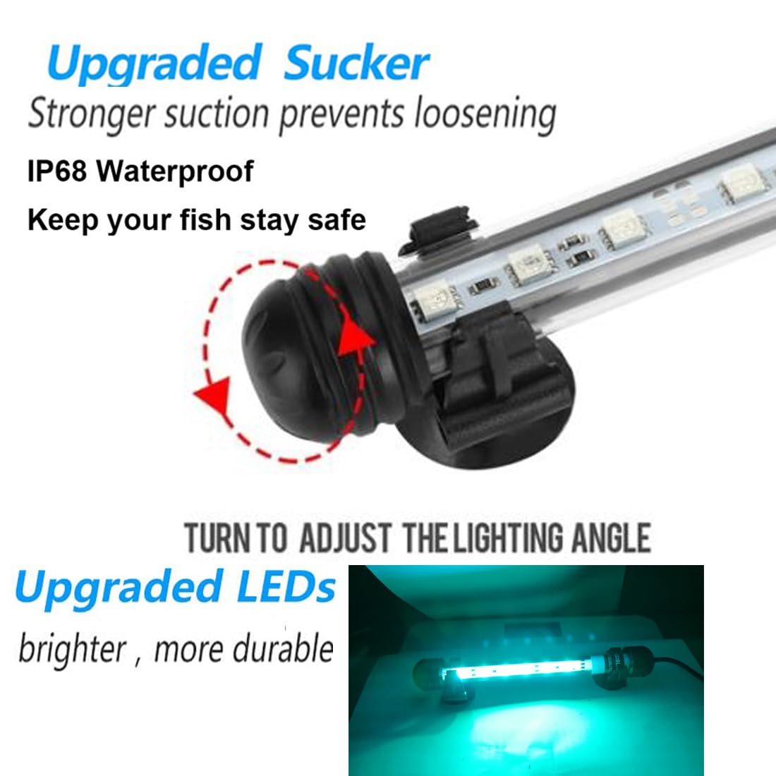 View 5