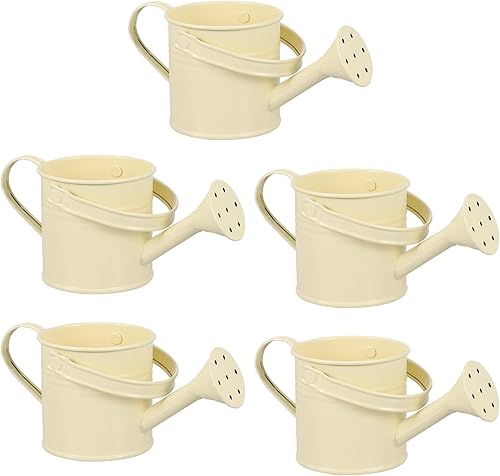 DOITOOL 5 Uds. Regadera de estaño para niños, herramientas de plantas de interior para niños, herramientas de adorno, hervidor de agua para