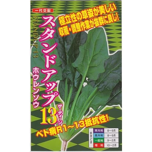 ナント種苗 ホウレンソウ スタンドアップ１３のタネ