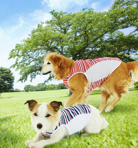 Amazon.co.jp: ALPHAICON [NEW] Summer Cooling Tank Top 2013 Model