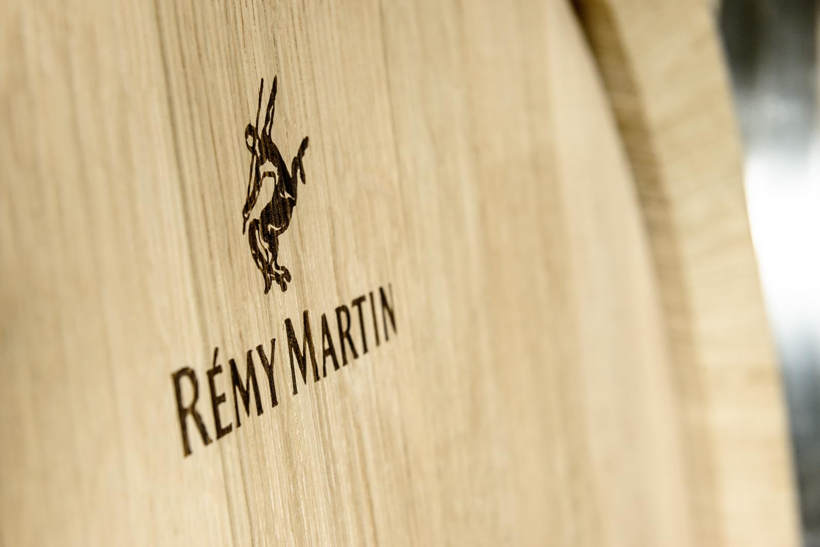 Rémy Martin XO 70cl Premium Pack - Cognac Fine Champagne. Note di Frutta Candita, Spezie e Cacao. 40% Vol.; Idea Regalo Esclusiva