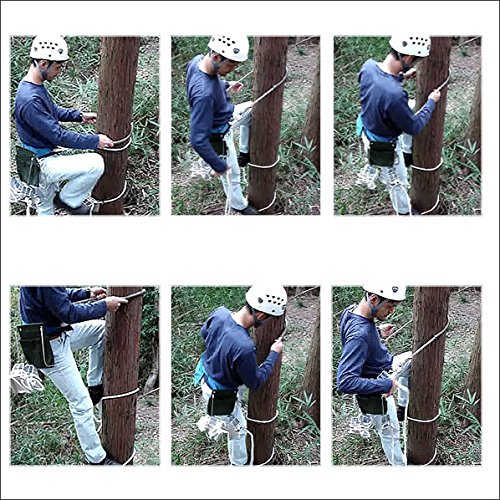 Amazon.co.jp: 巴化成工業 木登りビッグステップフルセット/大径木仕様