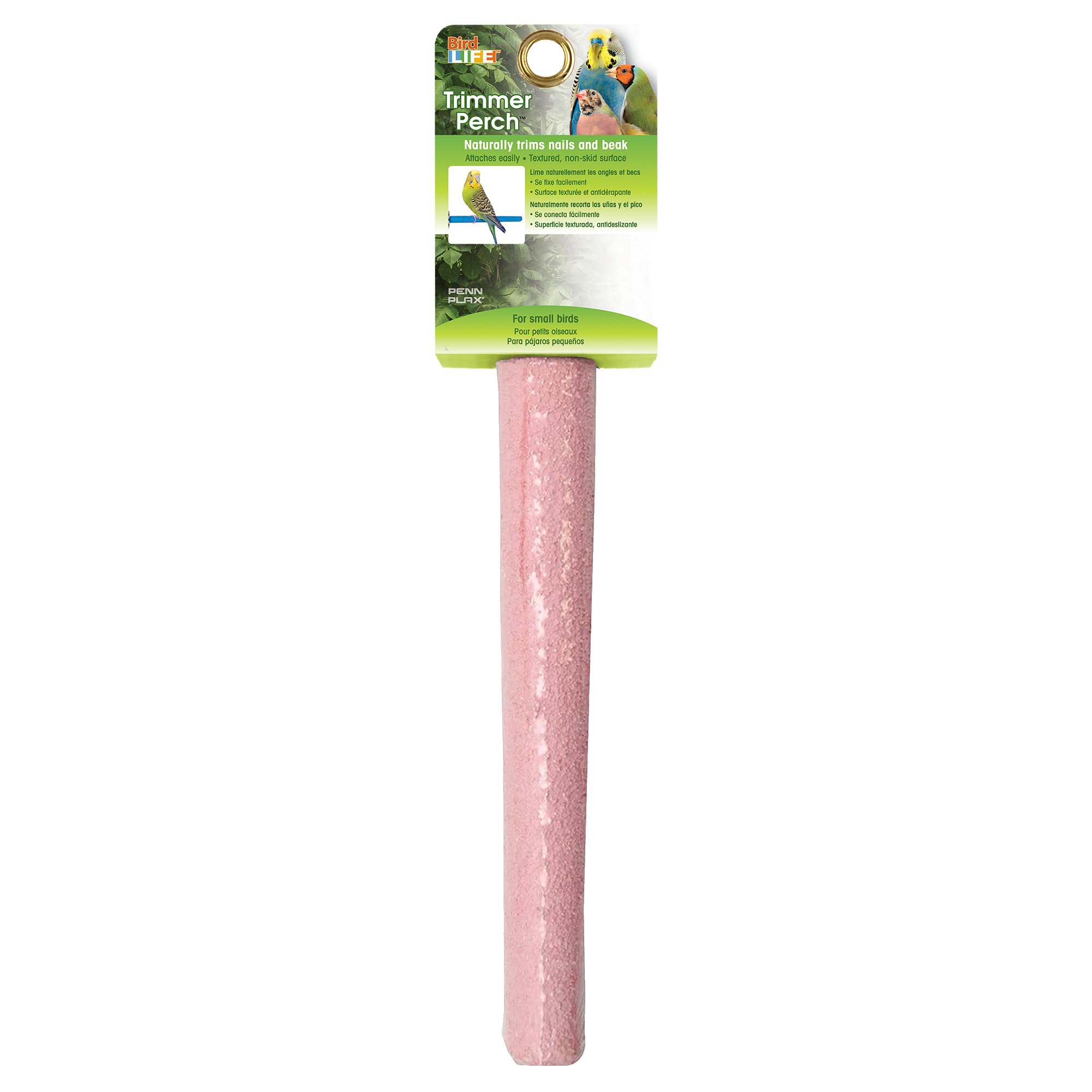 Penn-Plax Ciment Perchoir, Conditions Oiseaux Muscles des Jambes, 25,4 cm