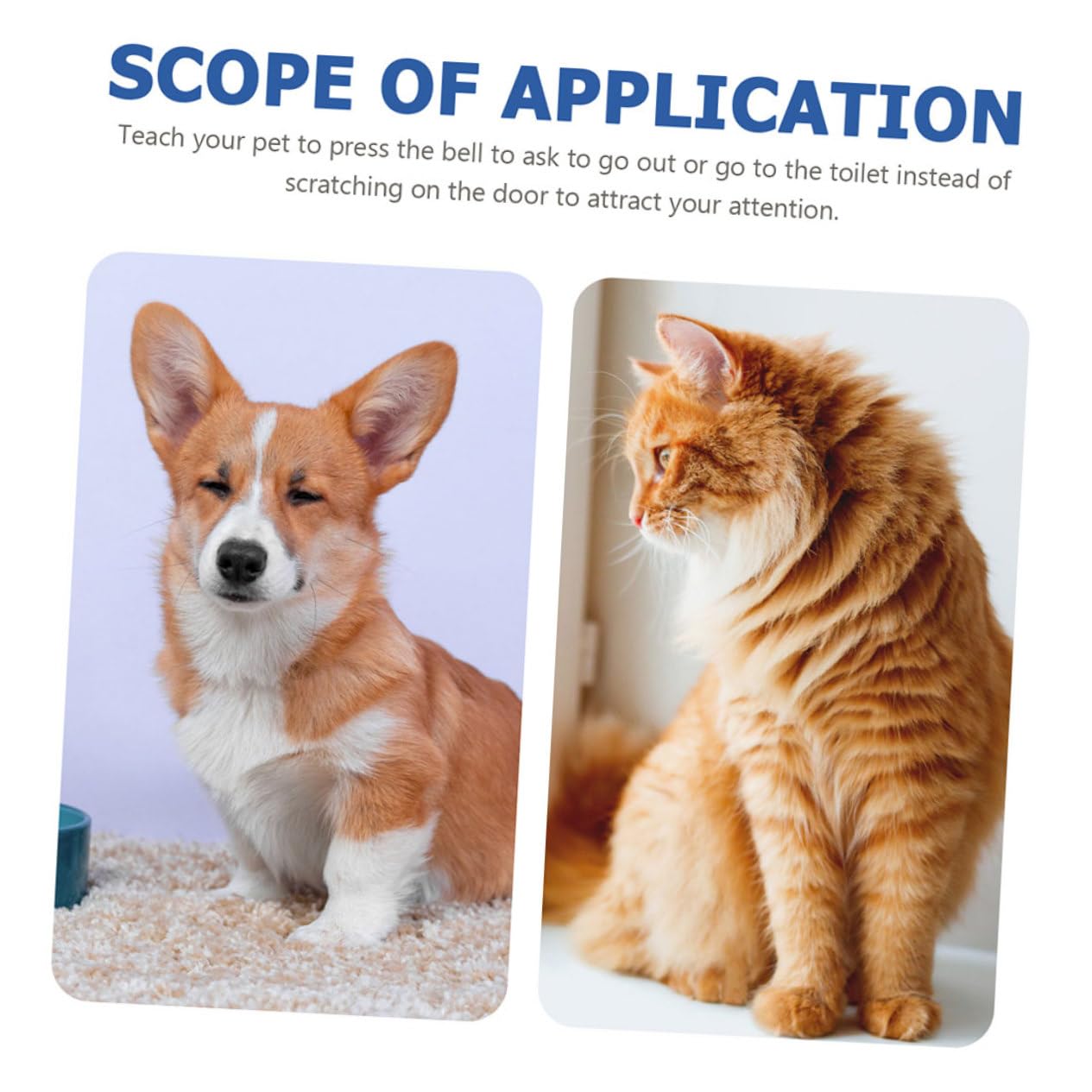 BESPORTBLE 2pcs Pet Training Bell for Small Potty Training Bells Doorbell for Puppies Interactive Dog Toys