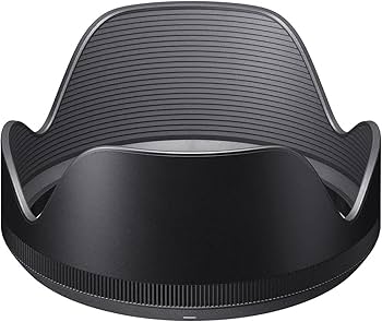 SIGMA 24-70mm F2.8 DG OS HSM artズームレンズ 交換レンズレビュー：SIGMA 24-70mm F2.8 DG OS HSM | Art