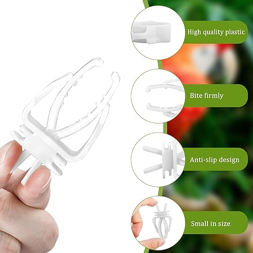 Miniatura 3 de 12 clips para jaula de pájaros, jaula de pájaros, soporte para alimentos, loro, fruta, verduras, clips para alimentador de jaula para periquitos,