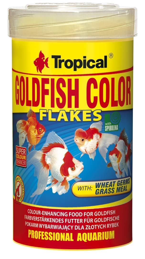 GOLDFISH COLOUR 100ML/20g