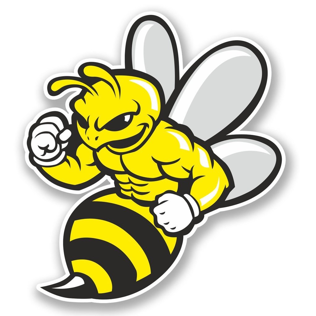 2 x 10cm/100mm Wasp Bee Hornet Vinyl SELF Adhesive Sticker Decal Laptop Travel Luggage Car Bike Sign Fun #5844