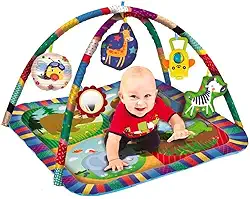 Tapete Centro De Atividades Para Bebês Com Aro - Zoop Toys, Multicor, ZP00179
