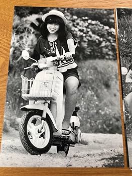 Amazon.co.jp: 中森明菜 切り抜き①80年代アイドル 昭和