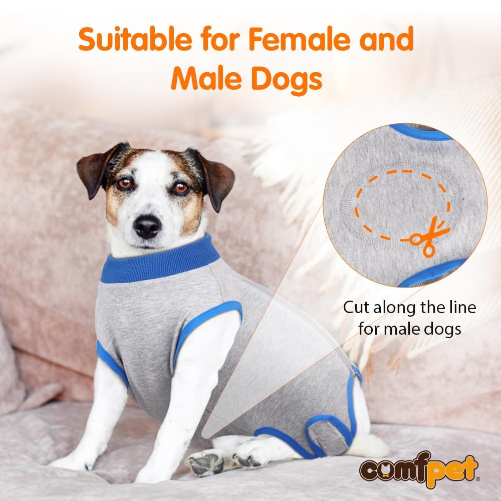 Female Dog How Are Male Dogs Neutered Large Dog Surgical Recovery