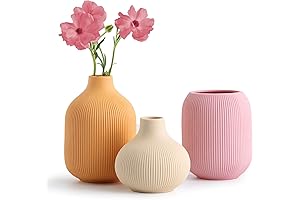 Ceramic Vase for Decor, Small Boho Vases Set for Home Decor, Kitchen...