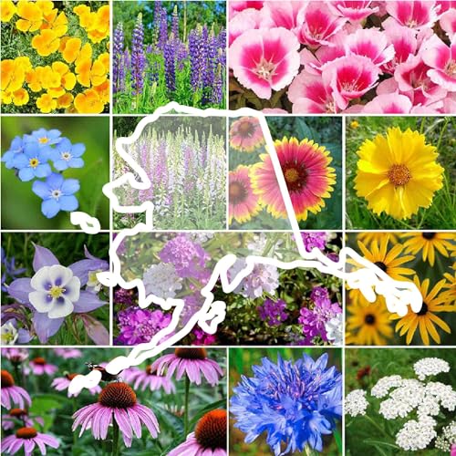 Eden Brothers Alaska Wildflower Mixed Seeds for Planting, 1 oz,