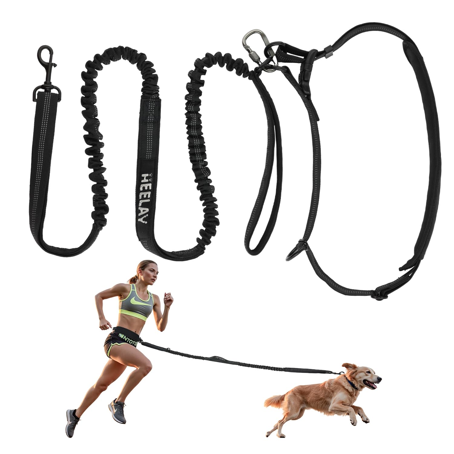 Freihandleine für Hunde mit Hüftgurt, Verstellbare Hundeleine zum Spazierengehen, Reflektierend, mit Komfort-Handschlaufe, für Mittelgroße Hunde
