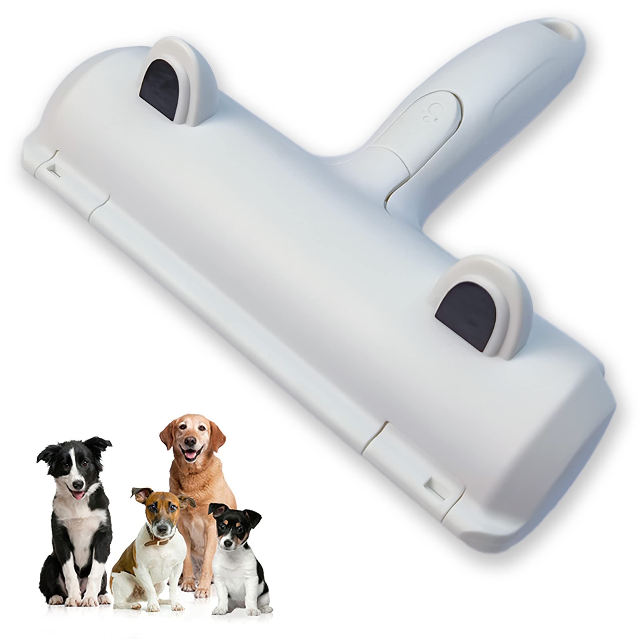 How Is Dog Hair Different From Human Hair