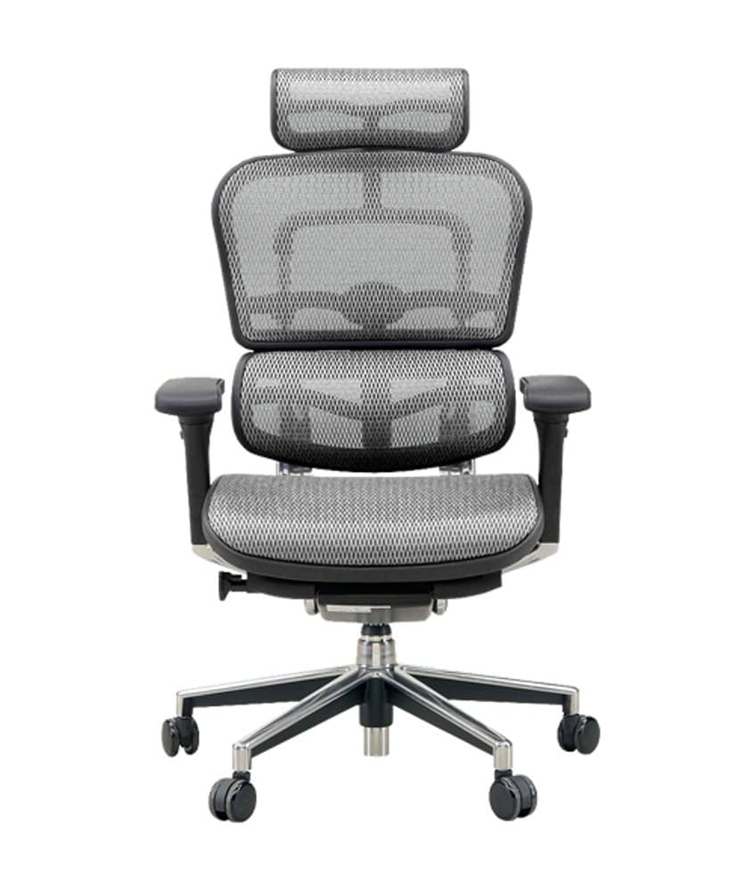 Amazon.co.jp: 【旧型】 エルゴヒューマン ベーシック オフィス