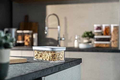ZWILLING Fresh & Save Cube Box, Größe M, Modulare & Stapelbare Vorratsdose, Luftdichte & Vakuumierbare Aufbewahrung, Spülmaschinengeeignet, Transparent