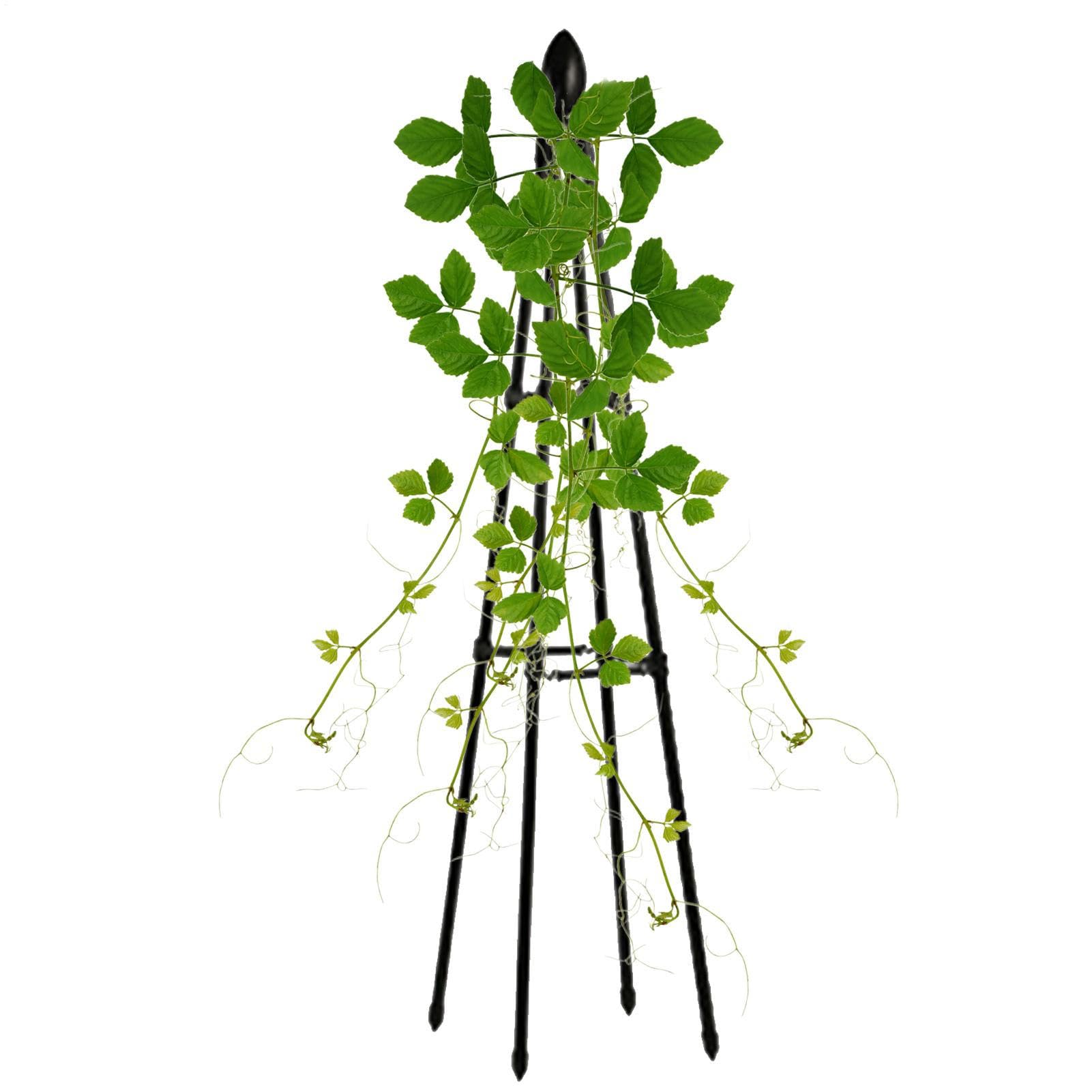 Garden Obelisk Plant Support 160cm, Tower Obelisk Trellis for Climbing Plants, Sweet Pea Frame, Pea Fence Plant Support for Vegetables