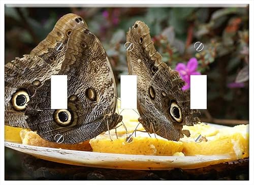 Switch Plate Triple Toggle - Butterflies Nature Calarca Quindio Colombia
