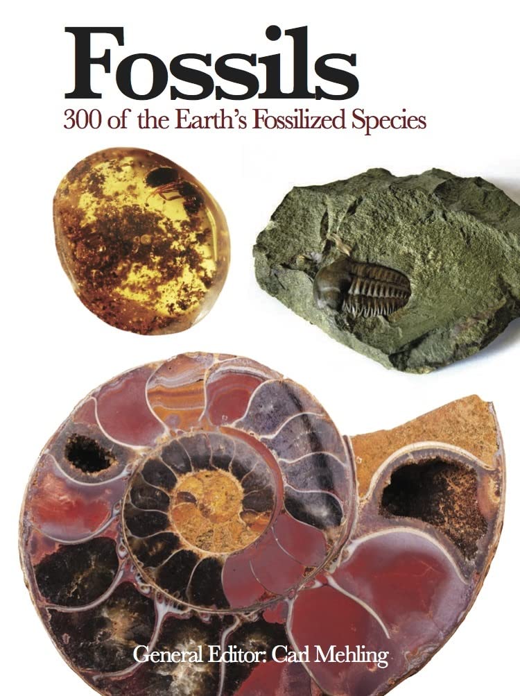 Fossils (Mini Encyclopedia): 300 of the Earth's Fossilized Species (Mini Expert Guides)