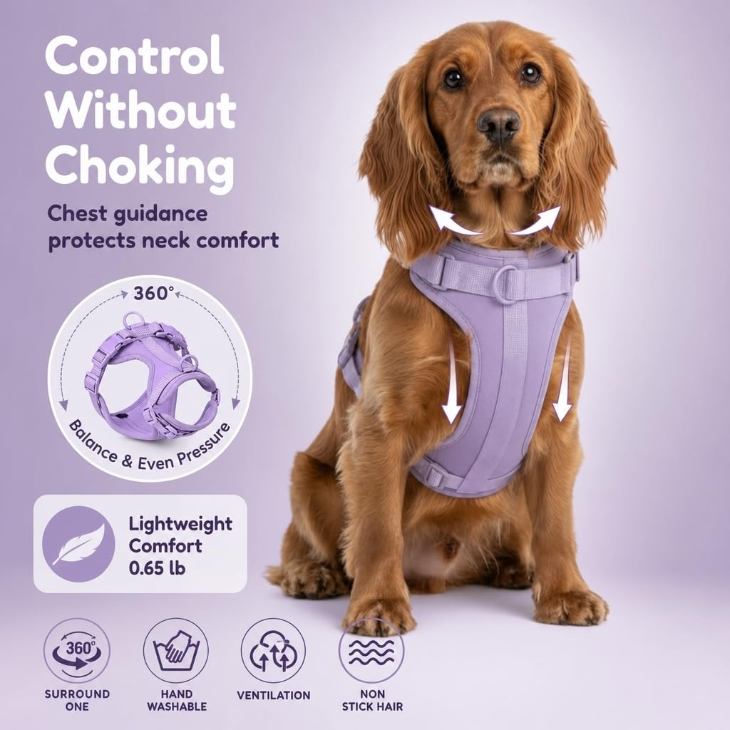 Arnés para perro, arnés para mascotas sin tirones con 3 clips de correa, chaleco acolchado suave ajustable, cojín de malla transpirable para perros pequeños, medianos y grandes (morado, pequeño