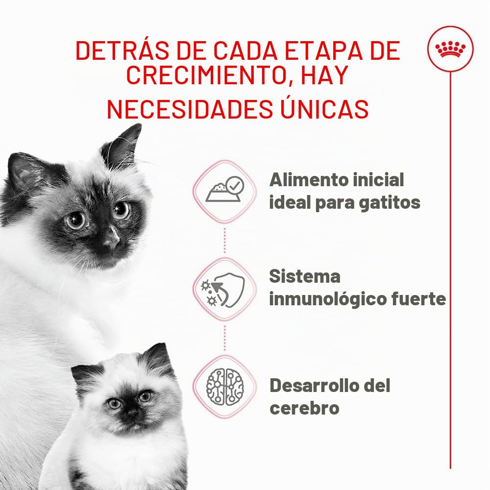 Royal Canin Mother & Babycat Mousse | 12 x 195 g | Alimento Completo para Gatos | Especialmente para la Gata Madre y Sus Gatitos | para apoyar Las defensas Naturales