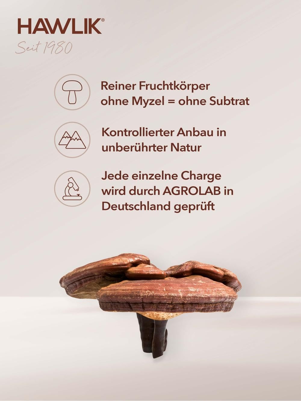HAWLIK Bio Reishi Extrakt + Pulver Kapseln - 120 Kapseln im Blister - Mit Vitamin C - Kombination aus Extrakt & Pulver - Natürlicher Anbau - Vegan