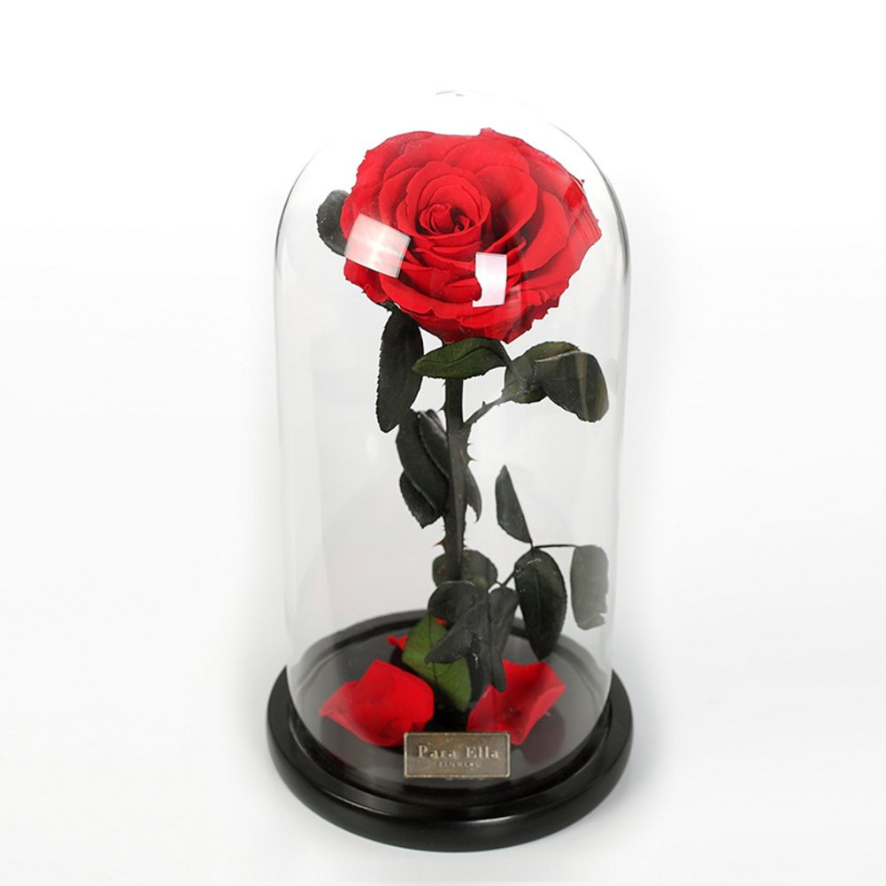 Fleur immortelle de roses en verre éternelle de qualité supérieure