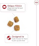 Royal Canin Breed Health Nutrition Poodle Puppy Dog Dry Food, 2.5 Sac sur mesure pour les chiots de Poodle jusqu'à 10 Mois, la forme de kibble spécialisée, soutient la digestion saine, la formule antioxydante-rich