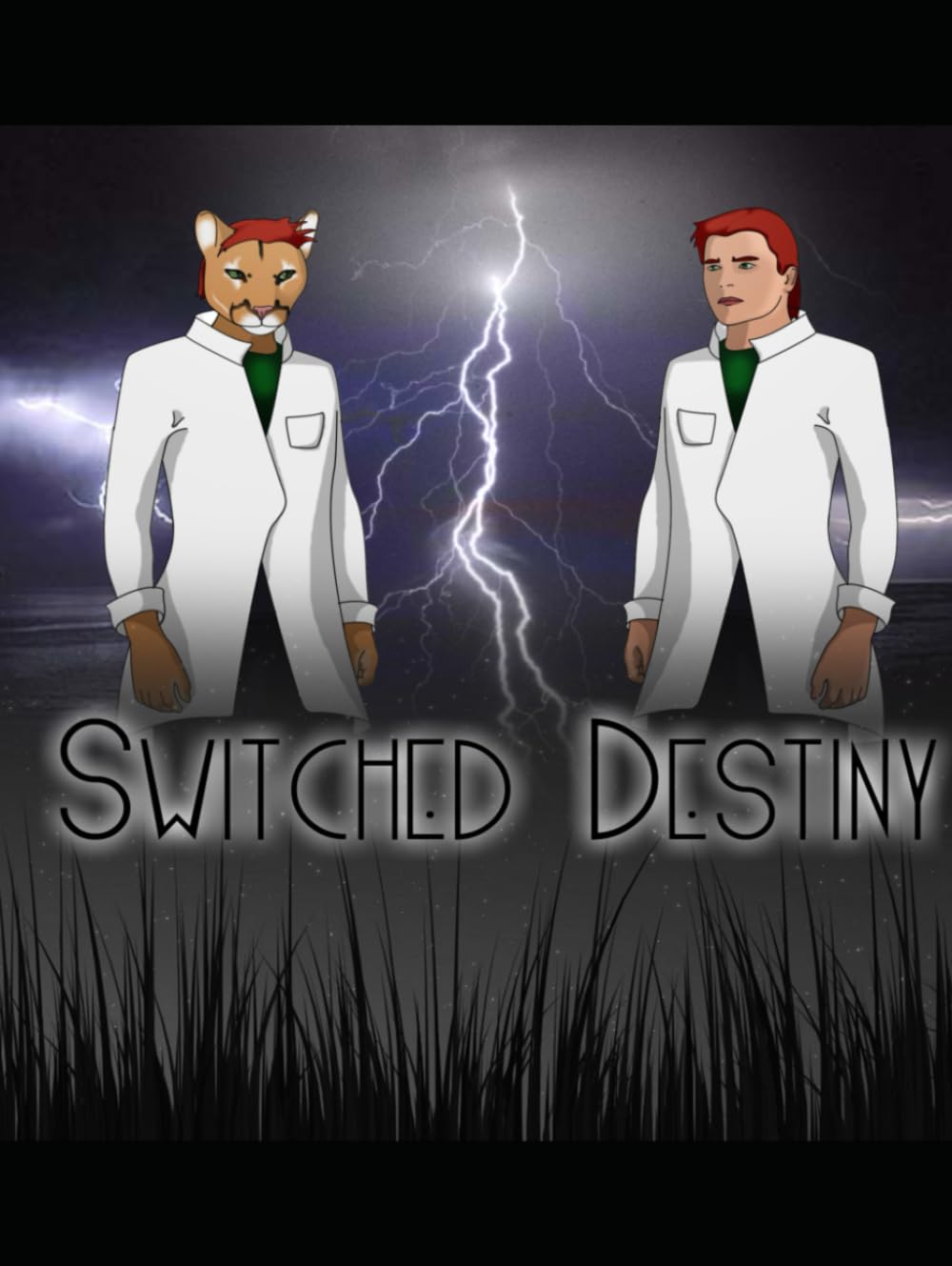 Switched Destinies (Switched Destiny)