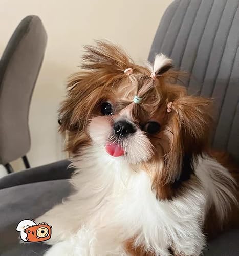 YAODHAOD Elastici per animali domestici, 500 pezzi...